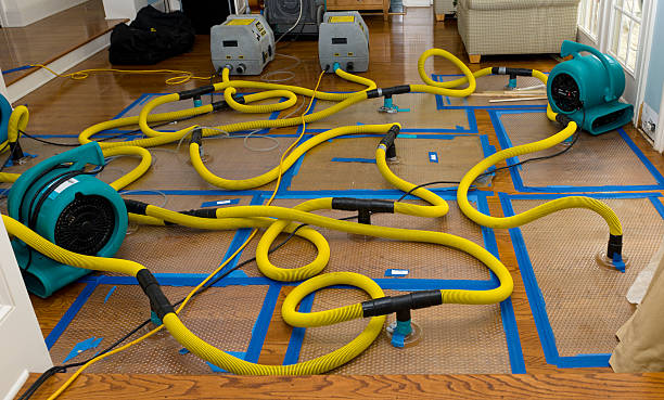 Professional Sewage Cleanup technician working in Troy, TX